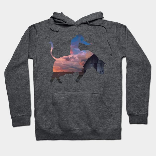 Bull Rider 1: Farm Sunset Hoodie by ziafrazier